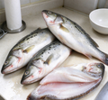 Fresh Whole & Filleted Sea Bass – Premium Quality for Every Occasion